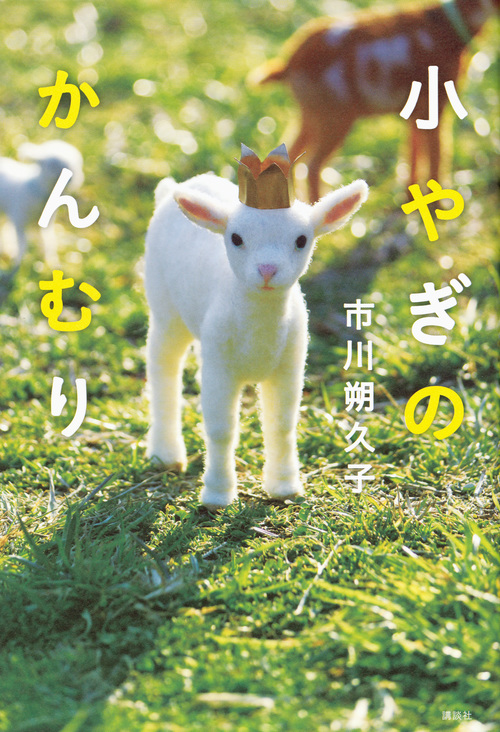 表紙画像