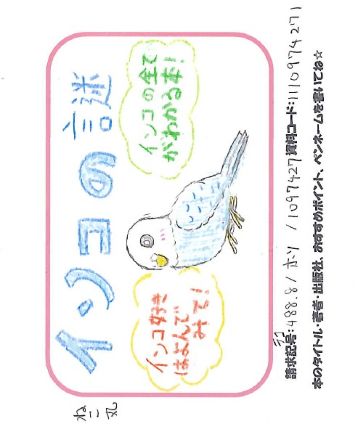 インコの謎　言語学習能力、フルカラーの視覚、二足歩行、種属を超えた人間との類似点が多いわけ