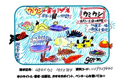 新着POP