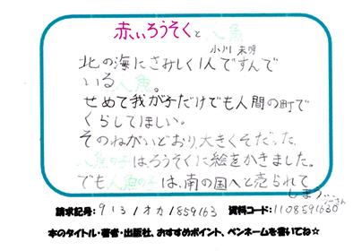 新着POP