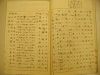 新編桶狭間合戦記