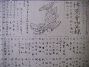 博覧会物品録