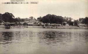 kamezaki1.jpg