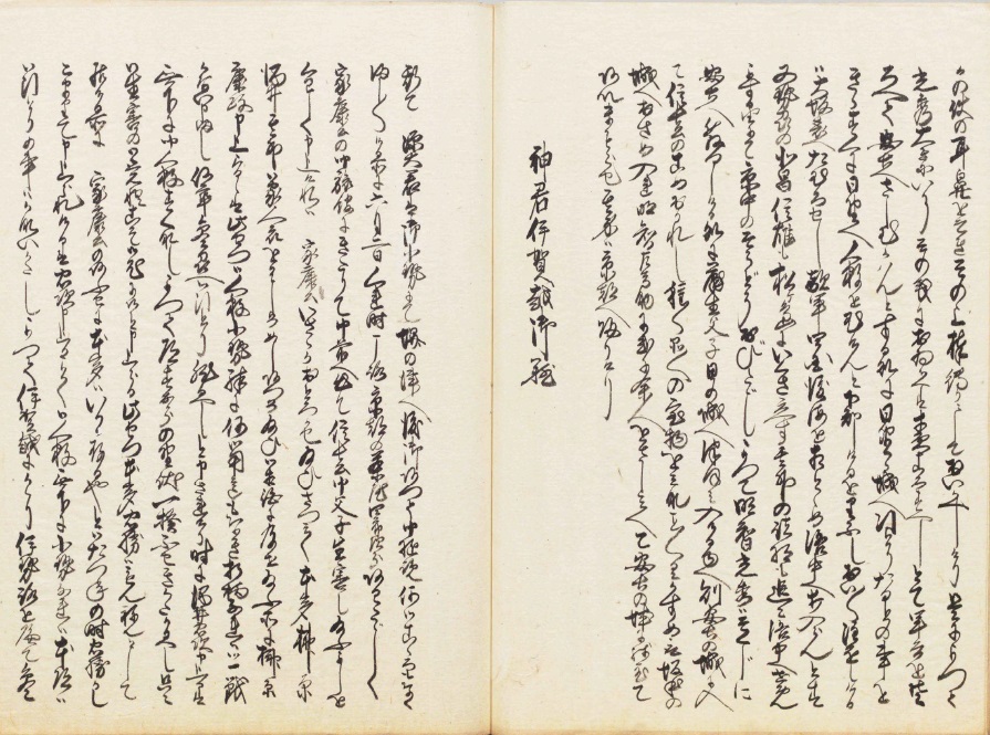 mikawagofudokitaizen.jpg