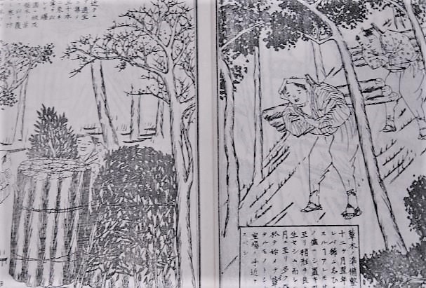 しいたけの栽培（部分）（田中長嶺著『参河北設楽郡香蕈培養図解』）より
