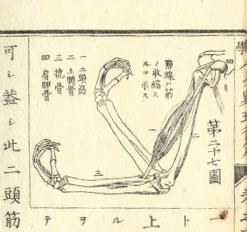 小学人身窮理　後編中