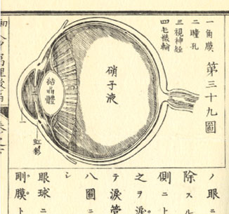 小学人身窮理　後編下